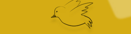 Canary Yellow Canary Yellow