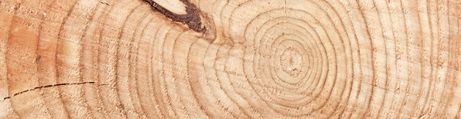 Wooden Log Wooden Log